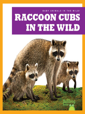 cover image of Raccoon Cubs in the Wild